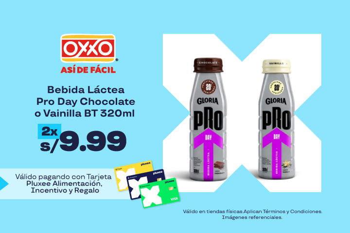 BEBIDA LÁCTEA PRO DAY CHOCOLATE O VAINILLA BT 320ML A 2 X S/9.99